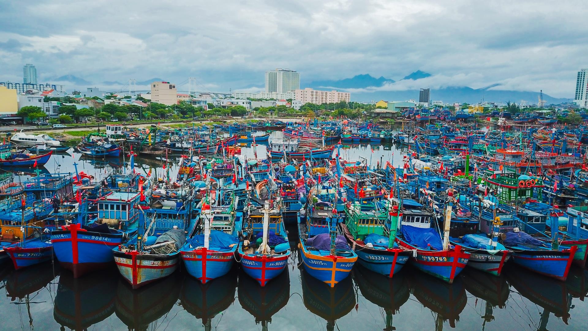 Da Nang cam bien truoc khi bao so 6 do bo hinh anh