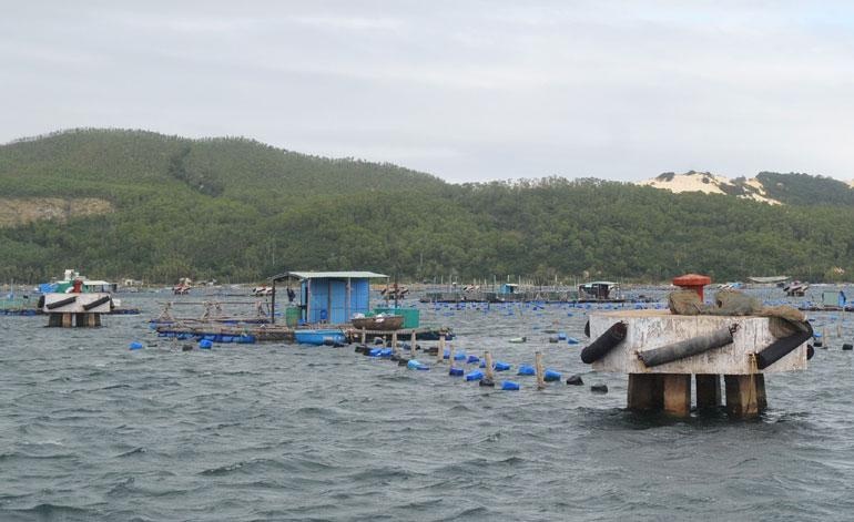 Hai nguoi Khanh Hoa mac ket ngoai bien khi bao vao hinh anh