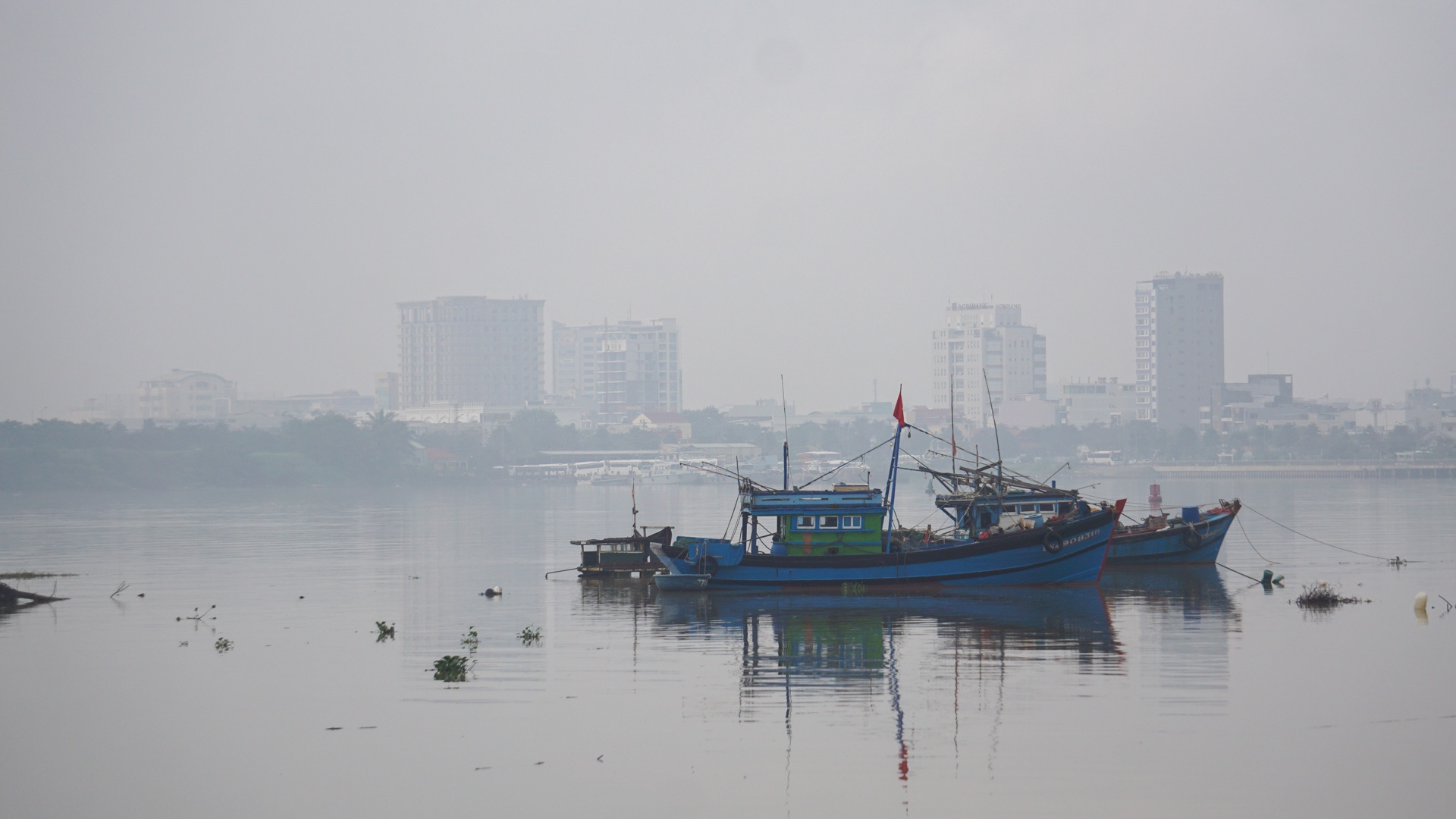 Đà Nẵng chìm trong sương mù ảnh 11 Da Nang chim trong suong mu anh 11