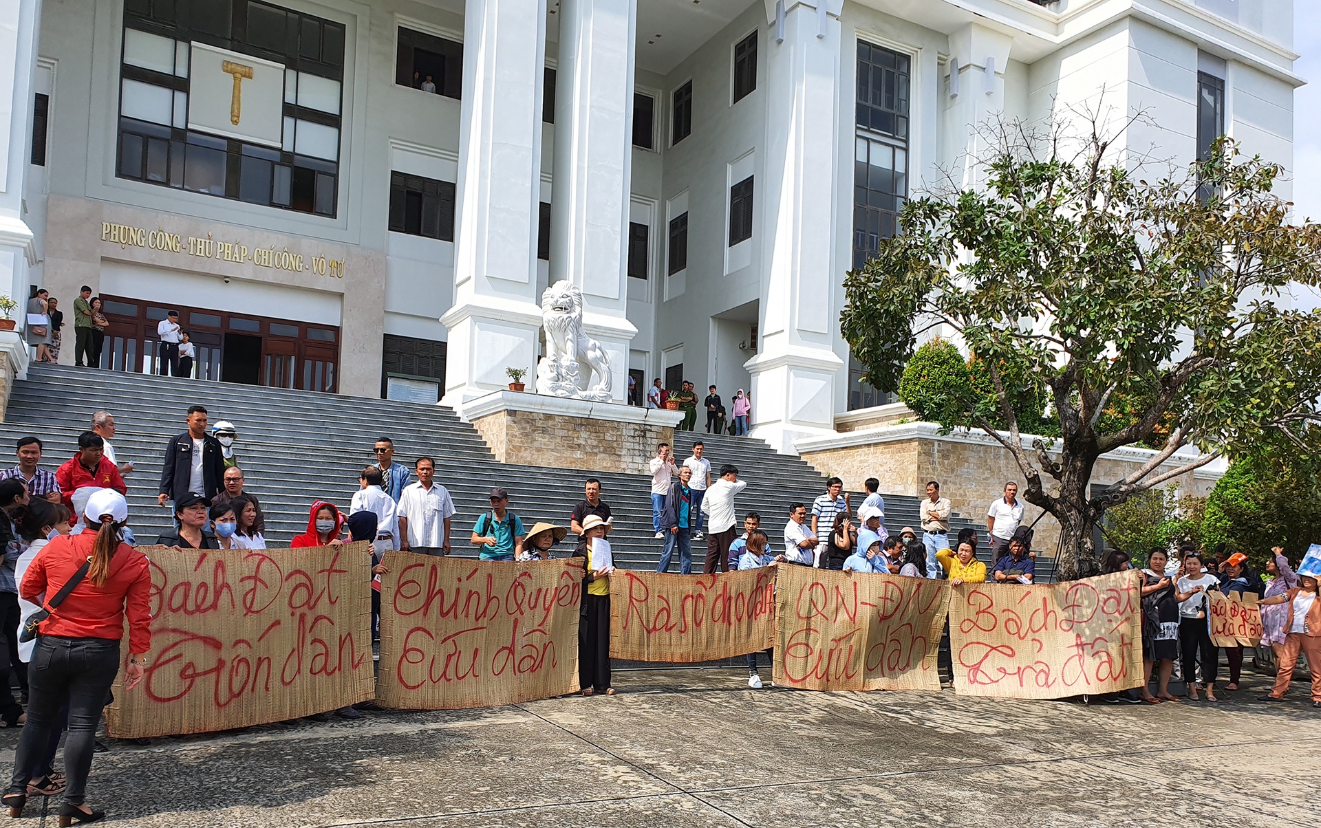 Khach phan ung vi Bach Dat An khong du toa hinh anh