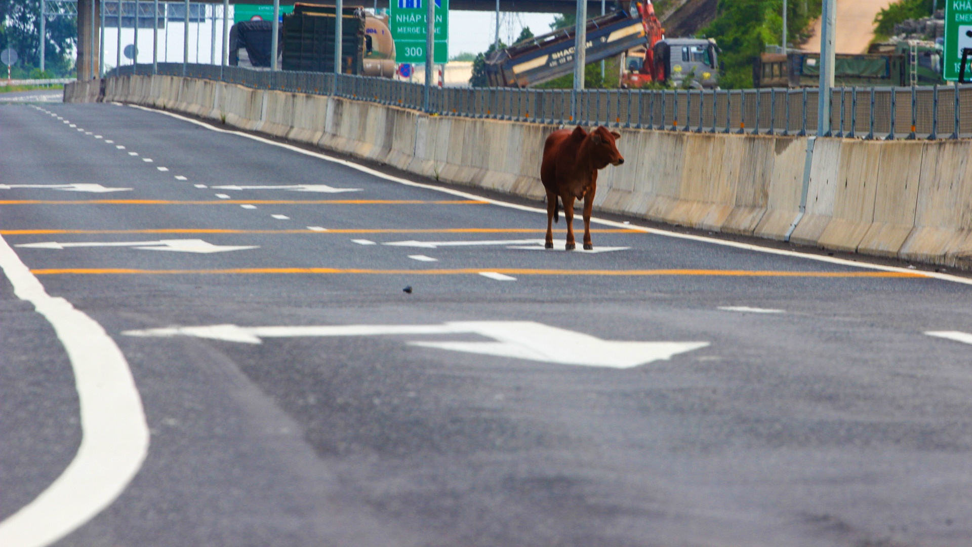 Cao toc 34.500 ty hu hong anh 14