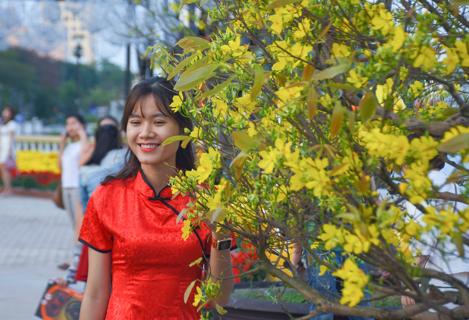 Duong hoa xuan Da Nang don khach tham quan anh 12