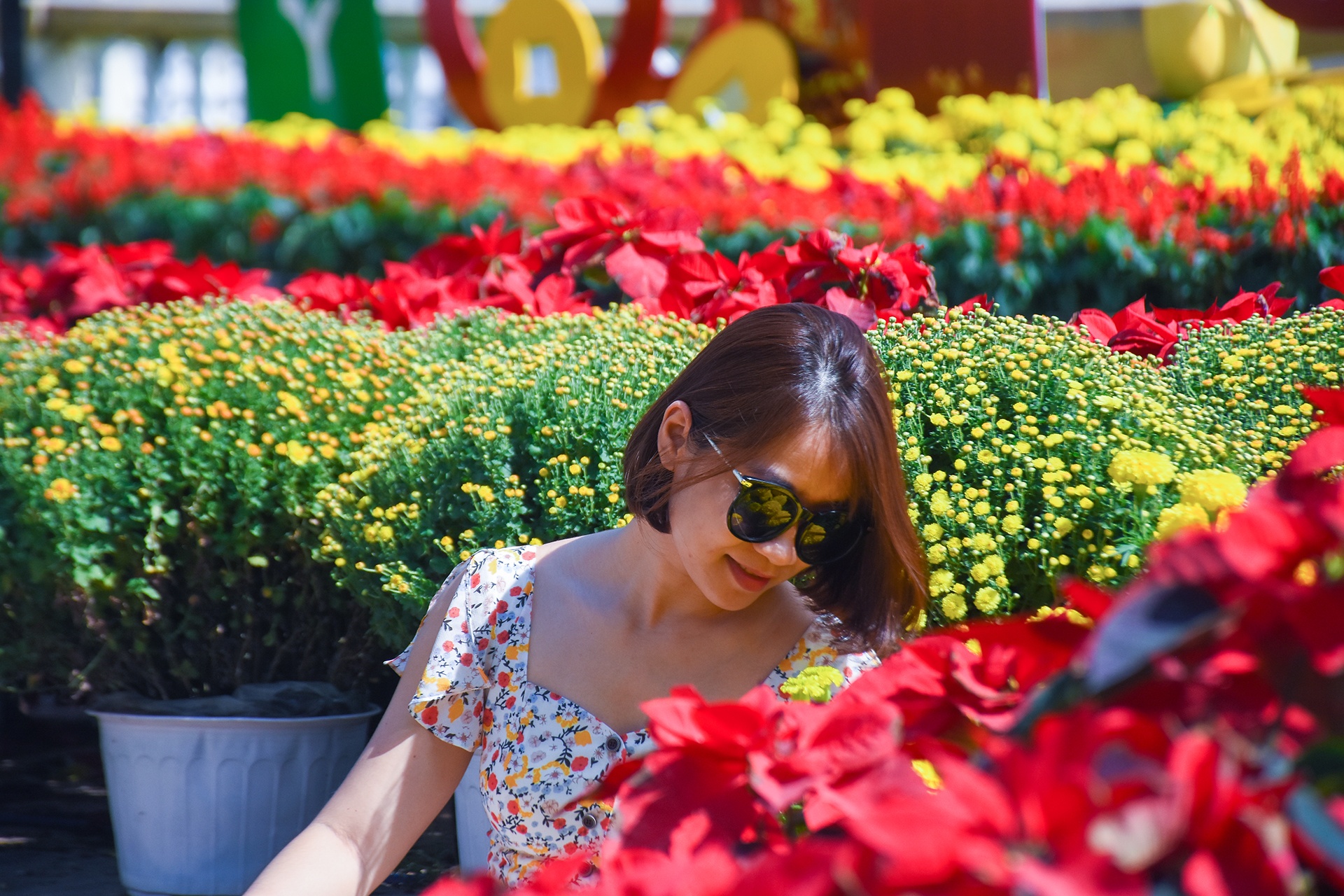 Duong hoa xuan Da Nang don khach tham quan anh 13