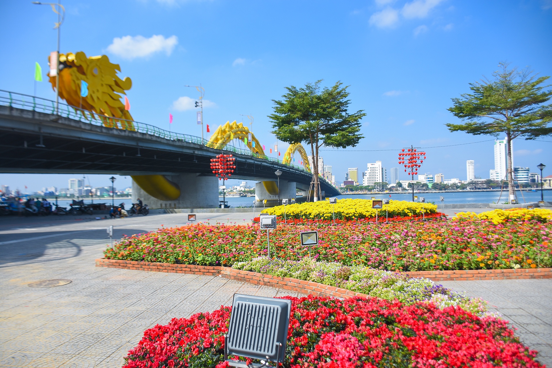 Duong hoa xuan Da Nang don khach tham quan anh 2