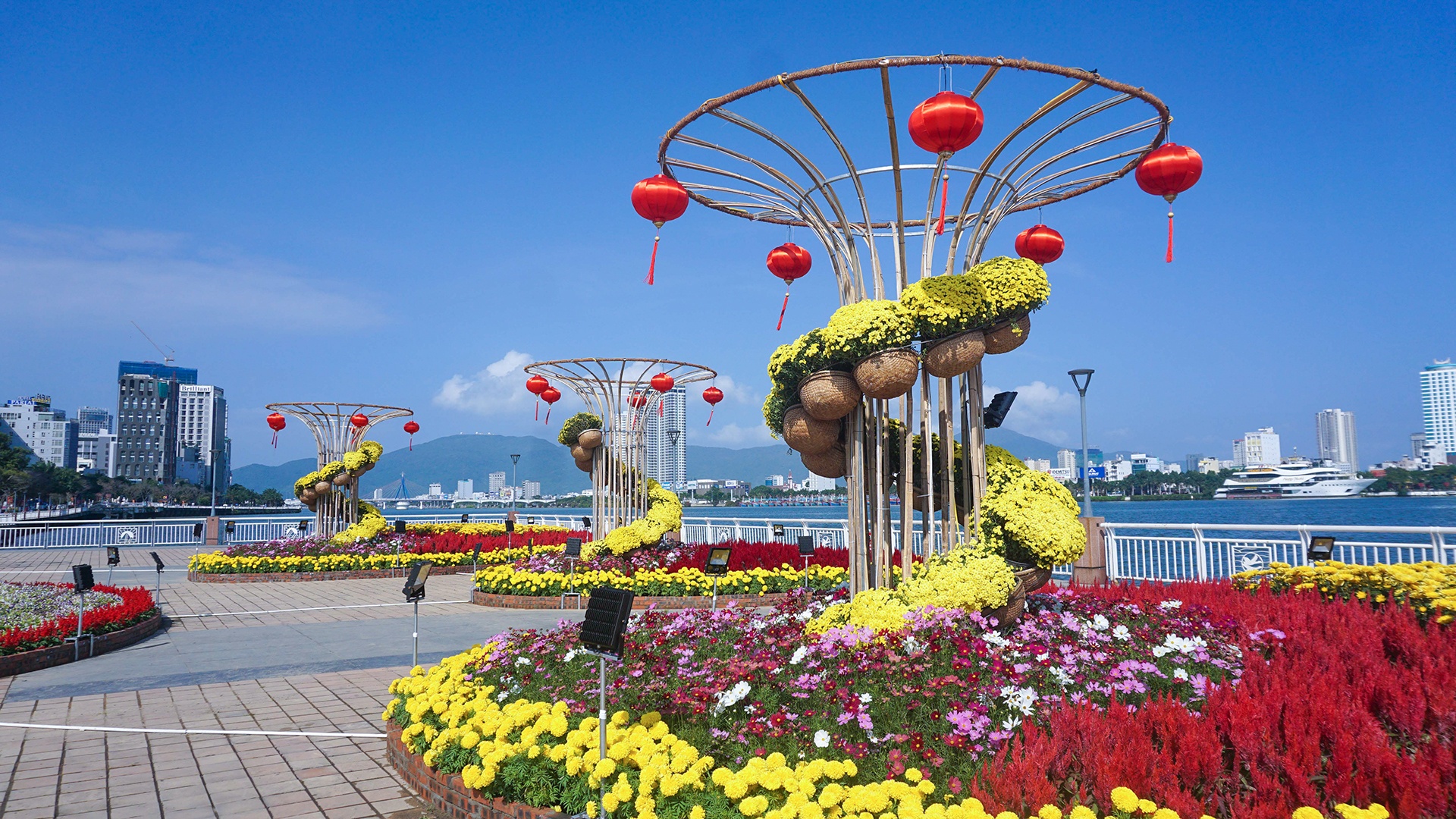 Duong hoa xuan Da Nang don khach tham quan anh 4