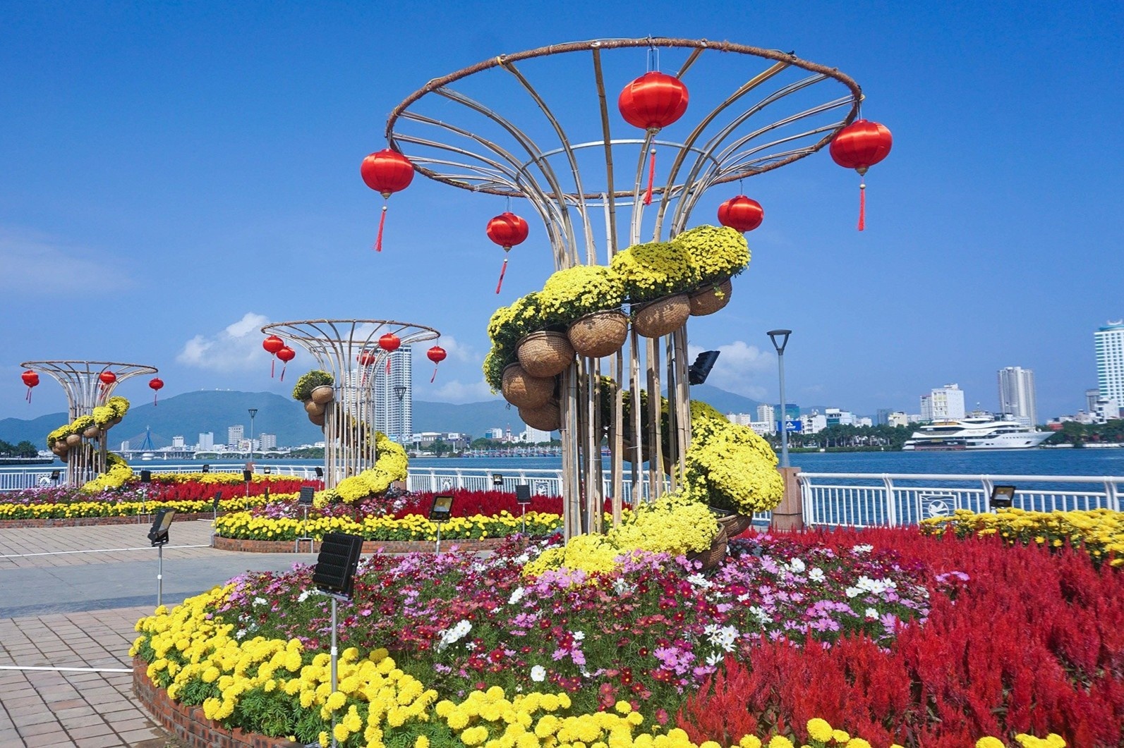 Ngam duong hoa hon 6 ty o Da Nang hinh anh