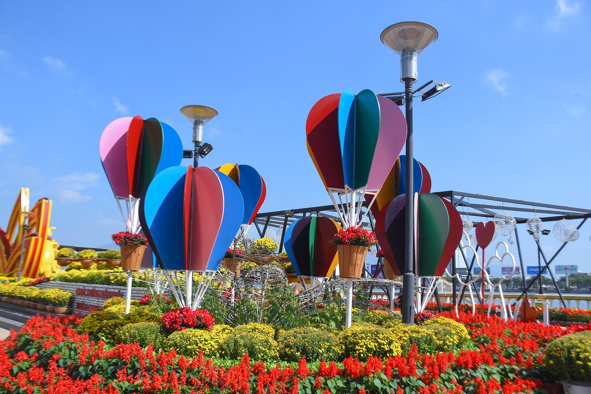 Duong hoa xuan Da Nang don khach tham quan anh 5