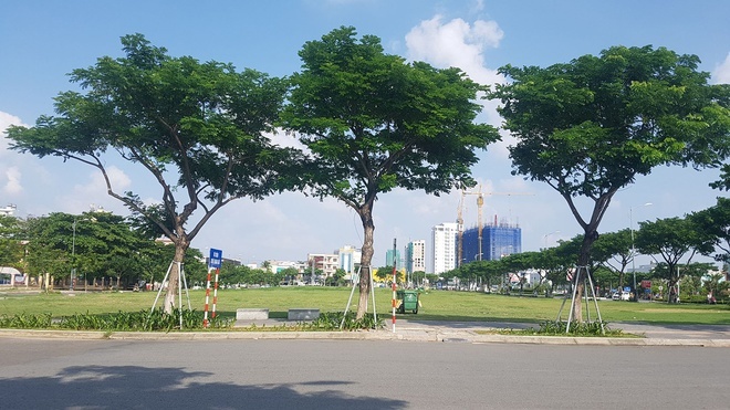 UBND Da Nang thua kien doanh nghiep anh 2