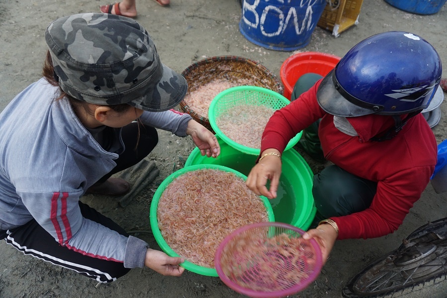 Trang dem xuc hang chuc tan ruoc bien hinh anh