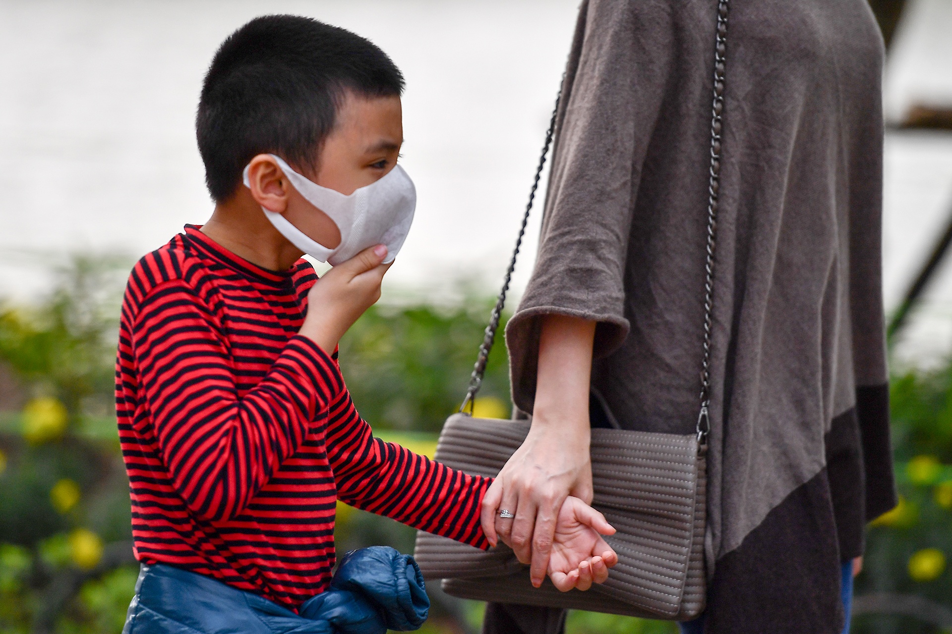 Da Nang cho hoc sinh nghi den ngay 15/3 hinh anh