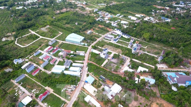 Kiem diem chu tich,  pho chu tich Kien Giang anh 1