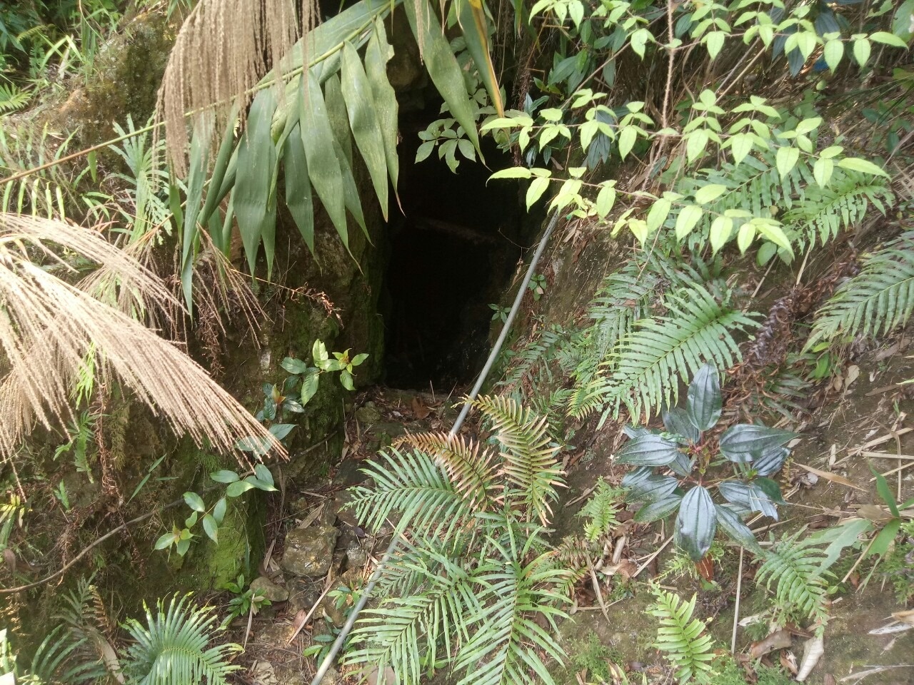 Da Nang dung thuoc no danh sap cac ham khai thac vang trai phep anh 2