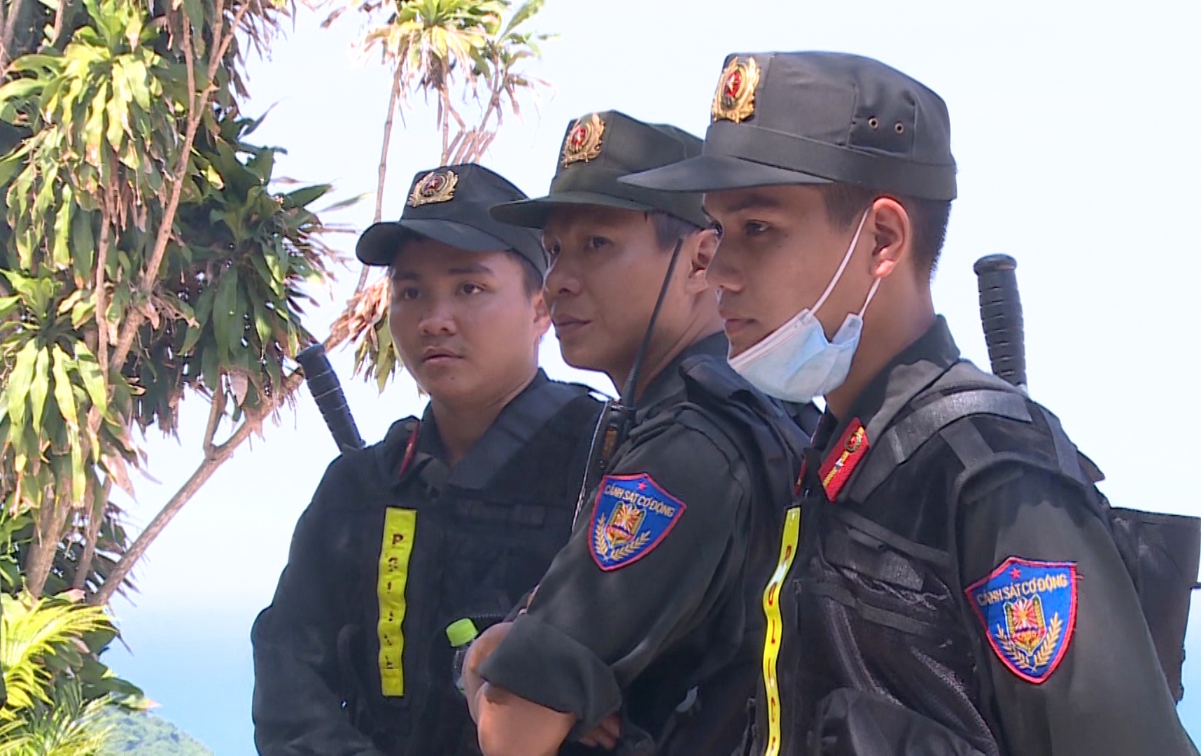 De xuat tieu diet pham nhan tron trai an nau o nui Hai Van hinh anh