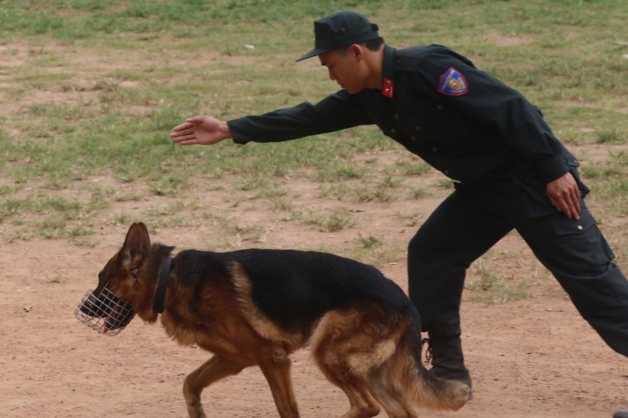 Cho nghiep vu truy lung ke sat nhan 2 lan tron trai giam quan doi hinh anh