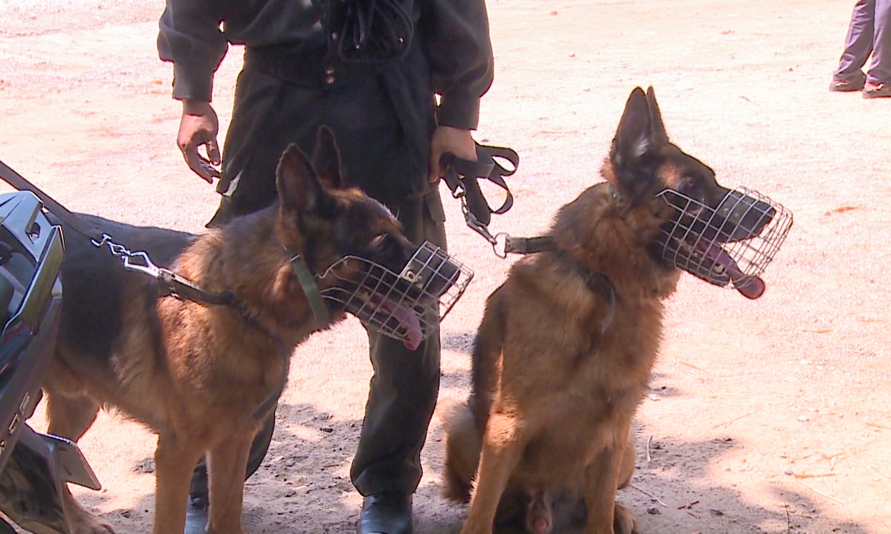 Tung them canh khuyen tim ke sat nhan 2 lan tron trai giam hinh anh