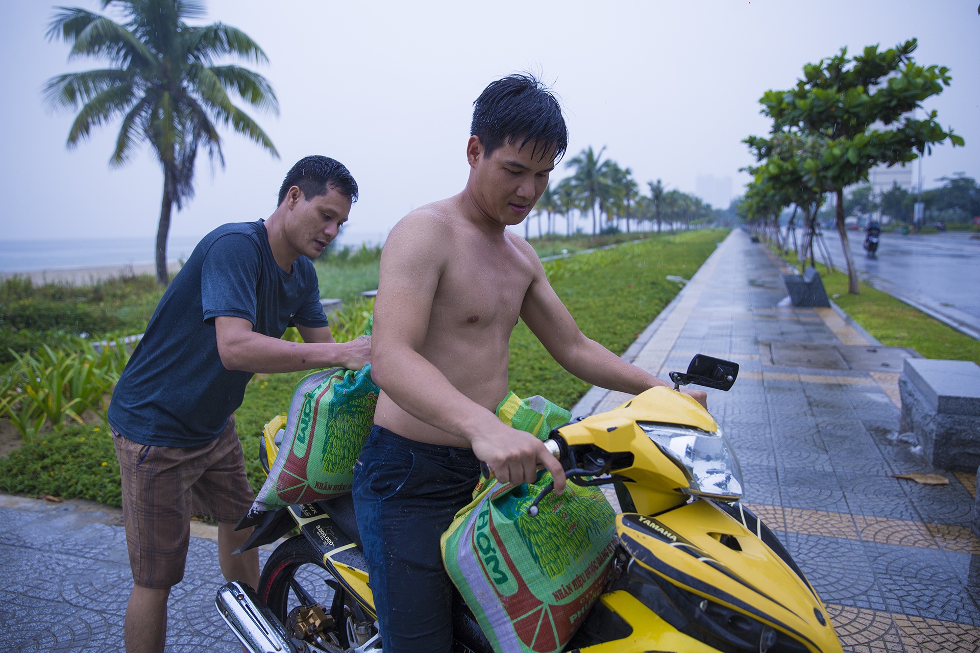 Da Nang se so tan hon 72.000 nguoi de tranh bao so 5 hinh anh