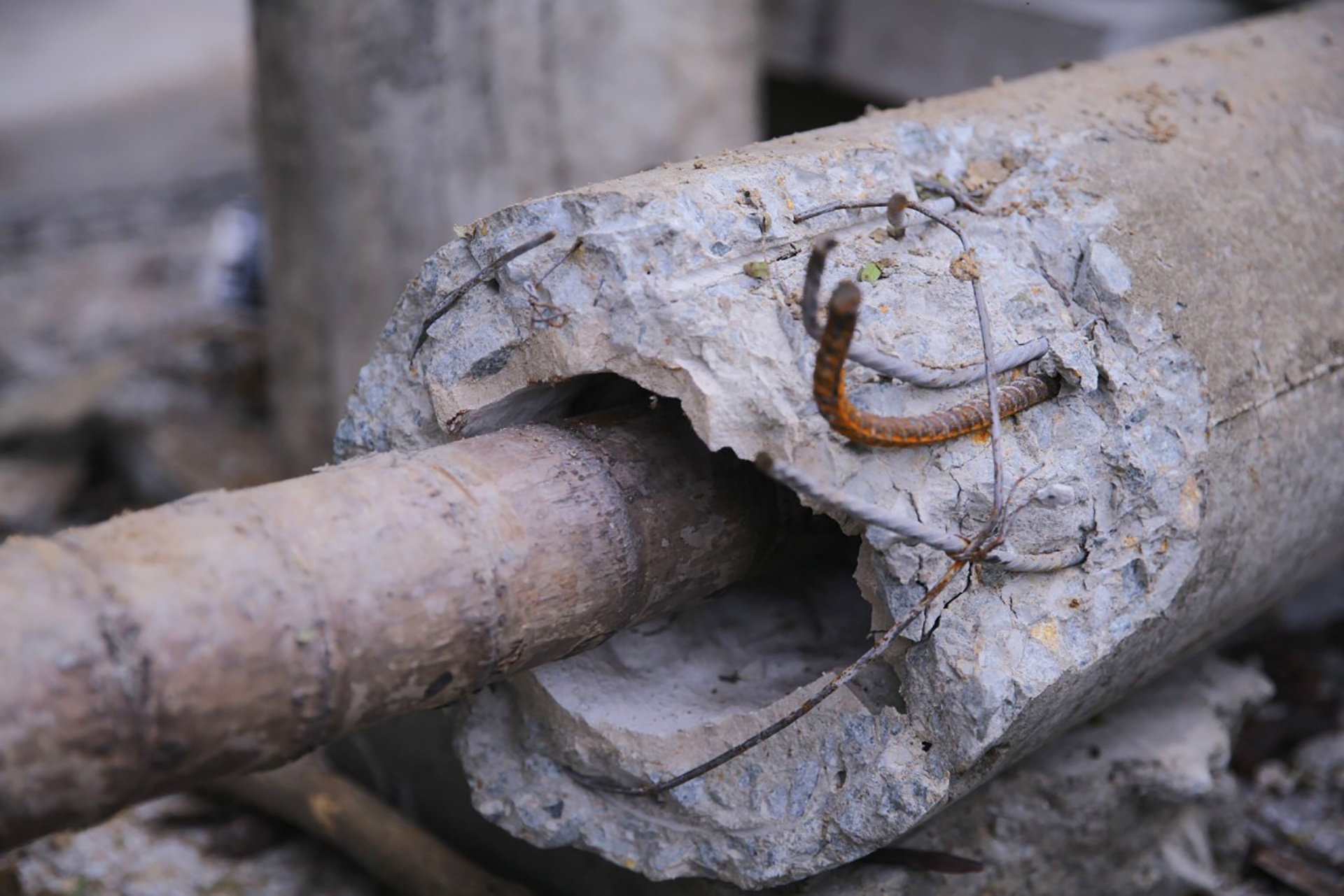 Bao so 5 lam hon 400 cot dien bi gay anh 2