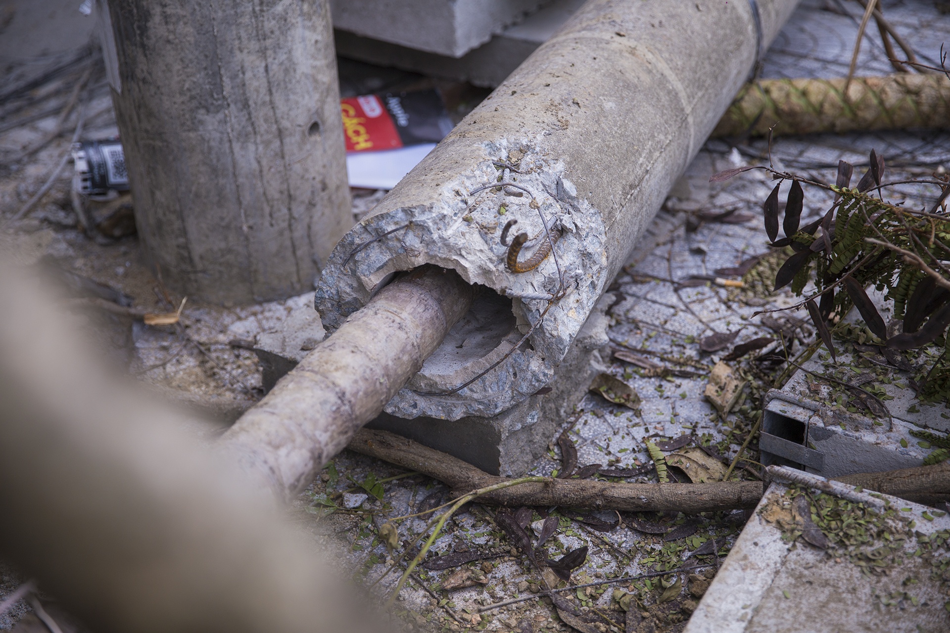 Hang tram cot dien bi gay do bao so 5 anh 2