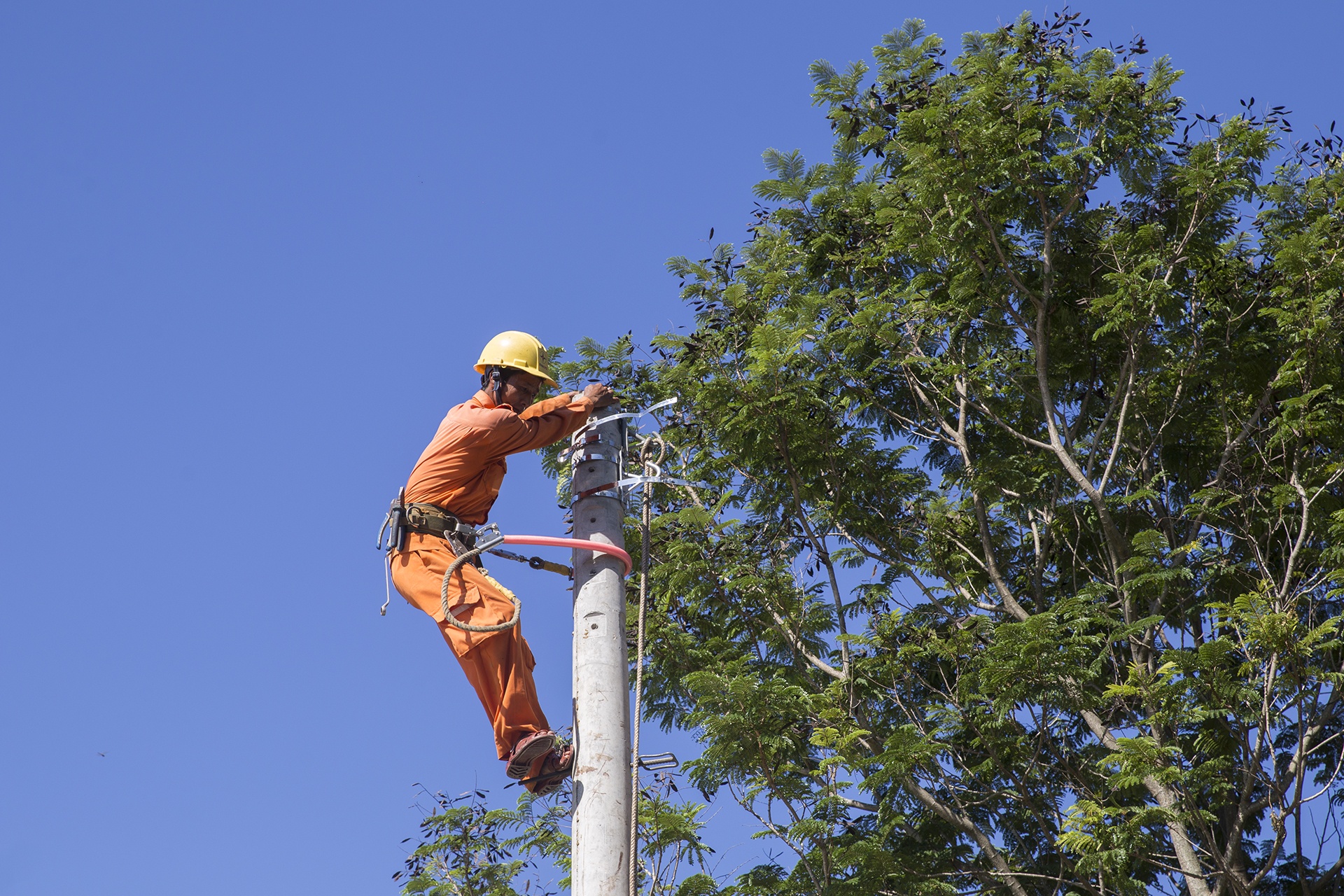 Hang tram cot dien bi gay do anh huong bao so 5 anh 8