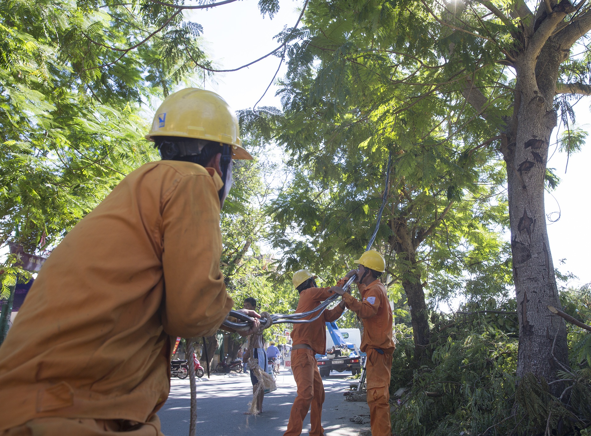 Doanh nghiep o Thua Thien - Hue dieu dung vi mat dien anh 2