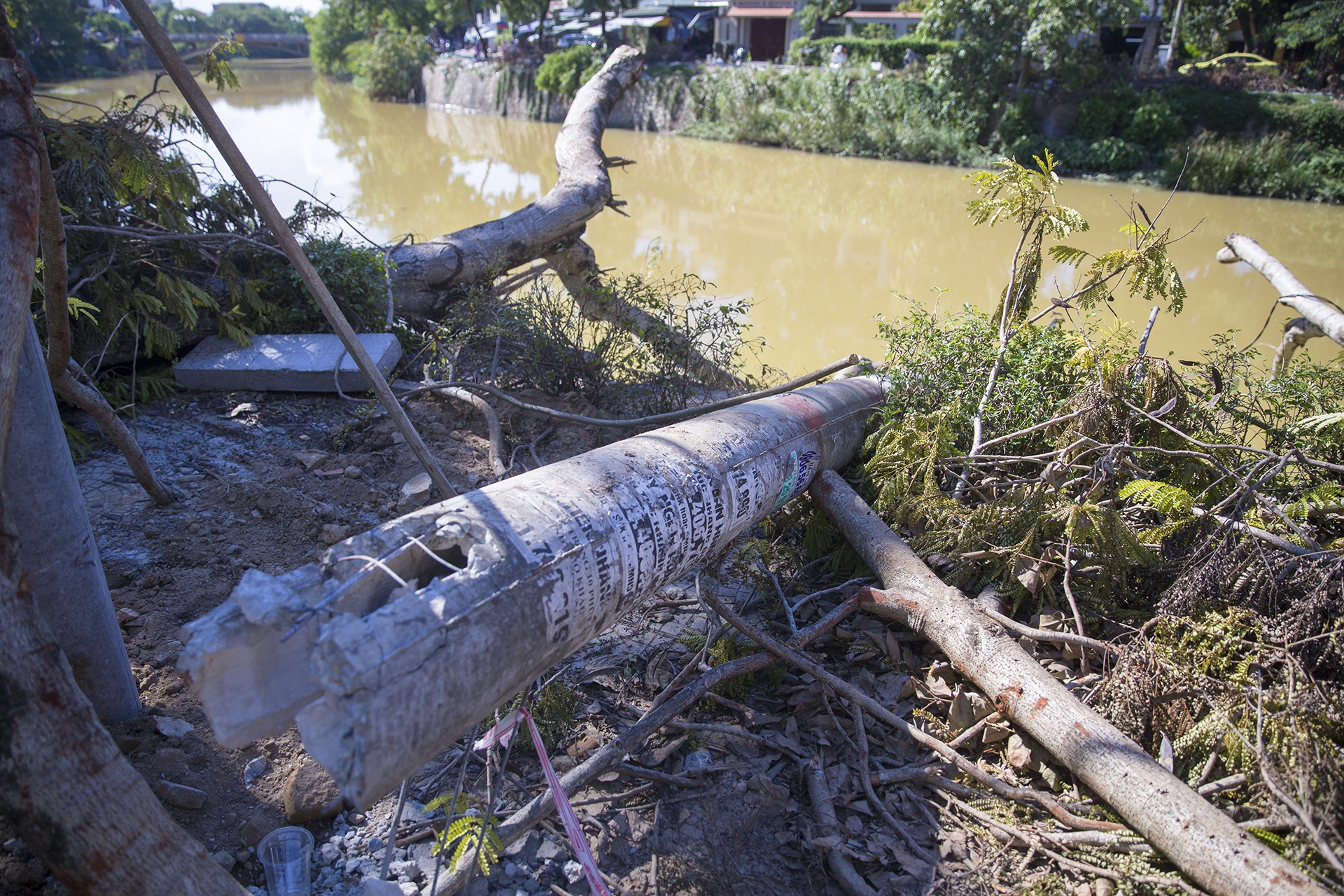 'Can cong khai ket qua giam dinh chat luong cot dien' hinh anh