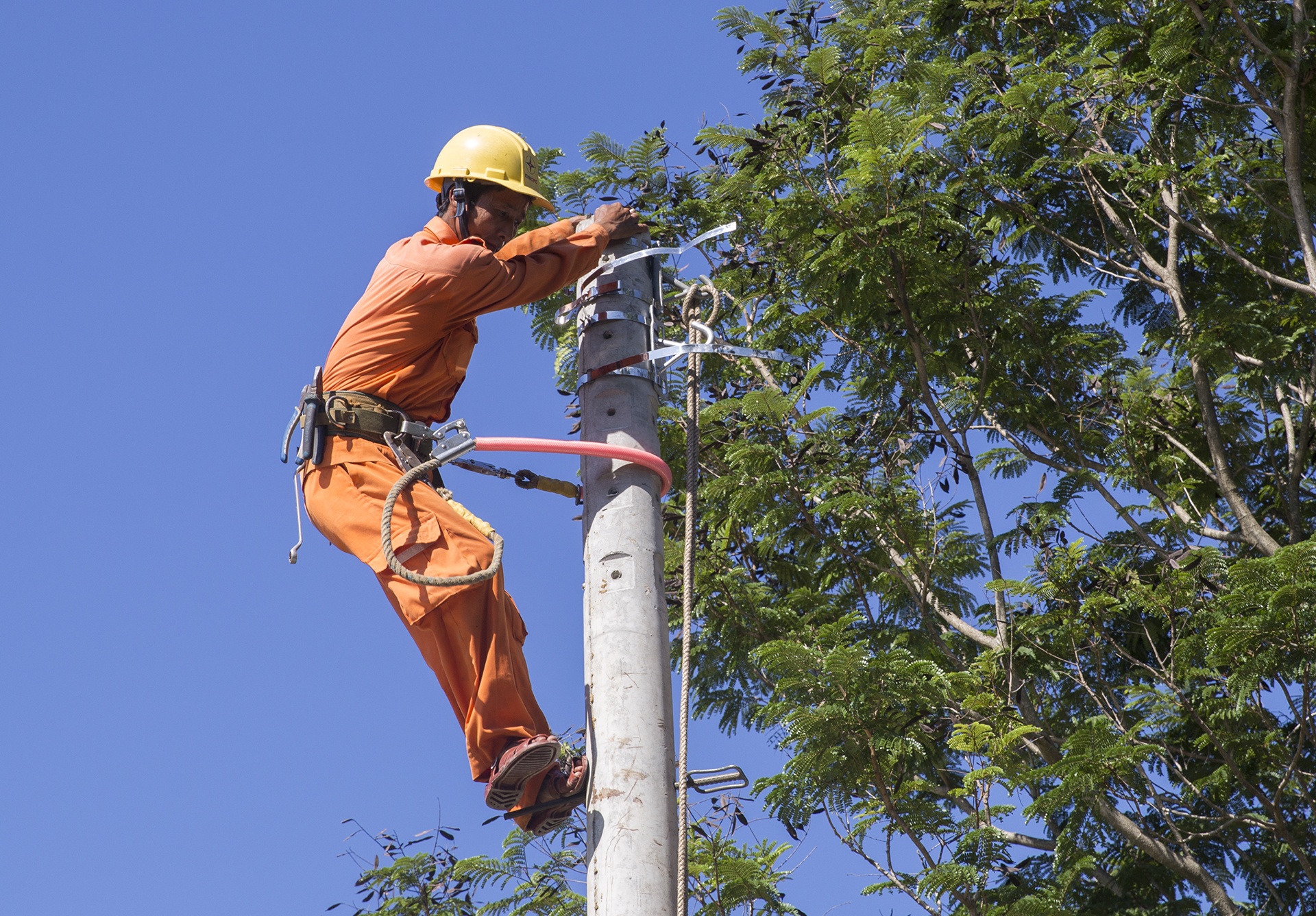 'Nganh dien luc phai chiu trach nhiem sau vu tru dien gay' hinh anh