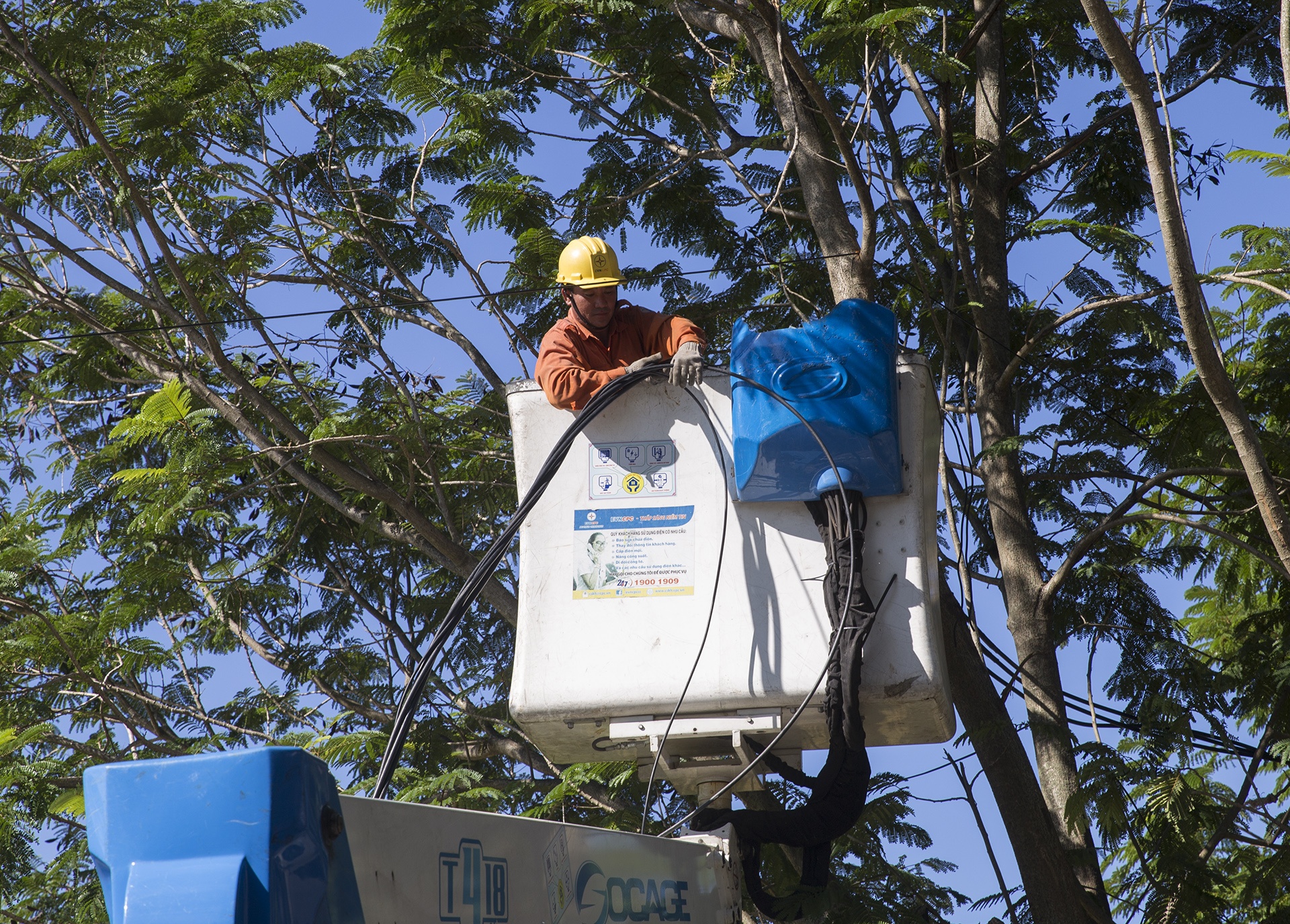 Hang tram cot dien gay anh 3