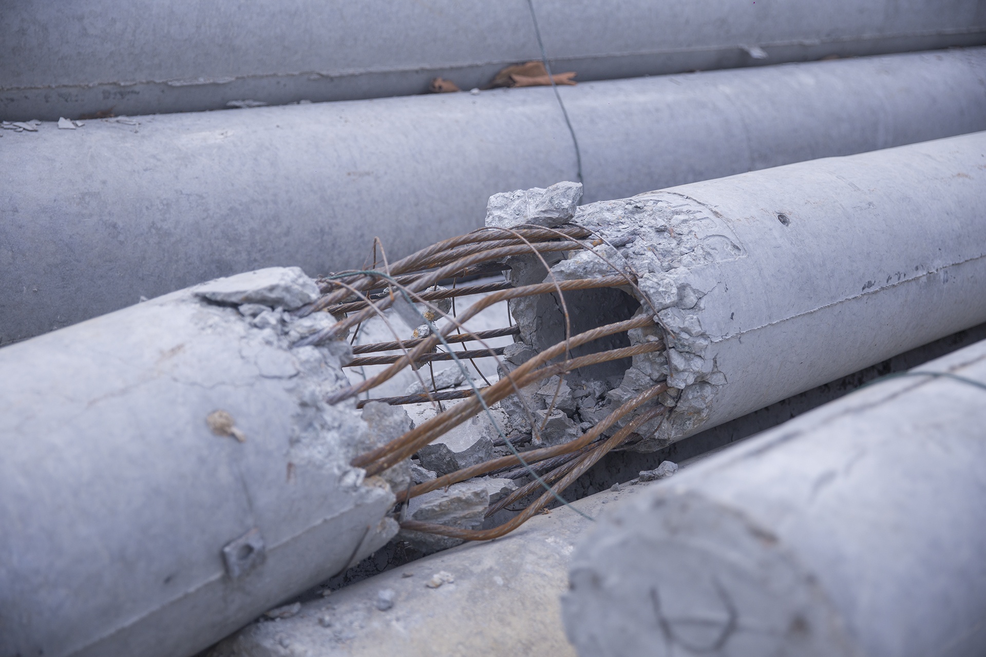 Cot dien gay hang loat o Thua Thien - Hue anh 10