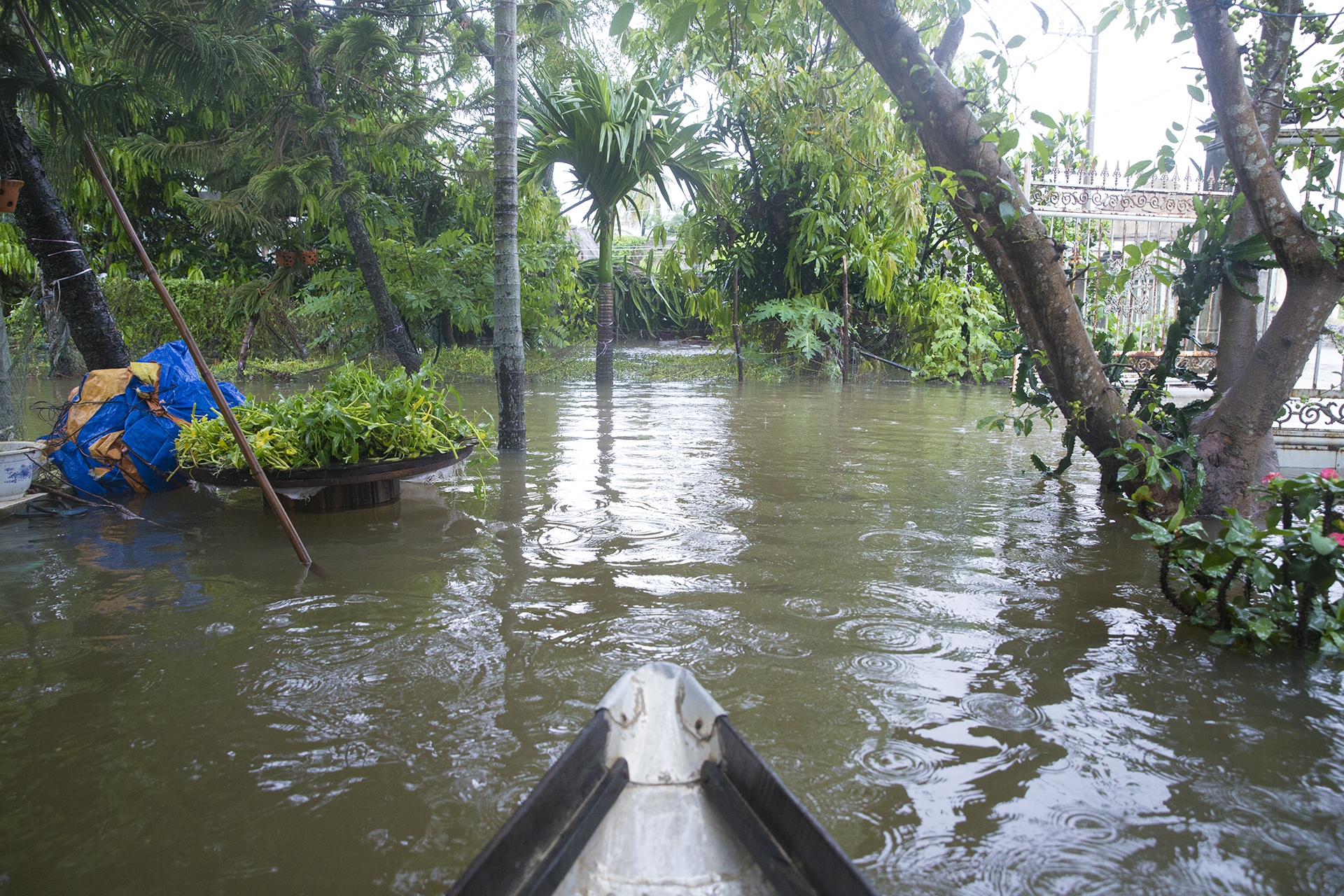 Nha dan bi ngap do mua lon anh 1