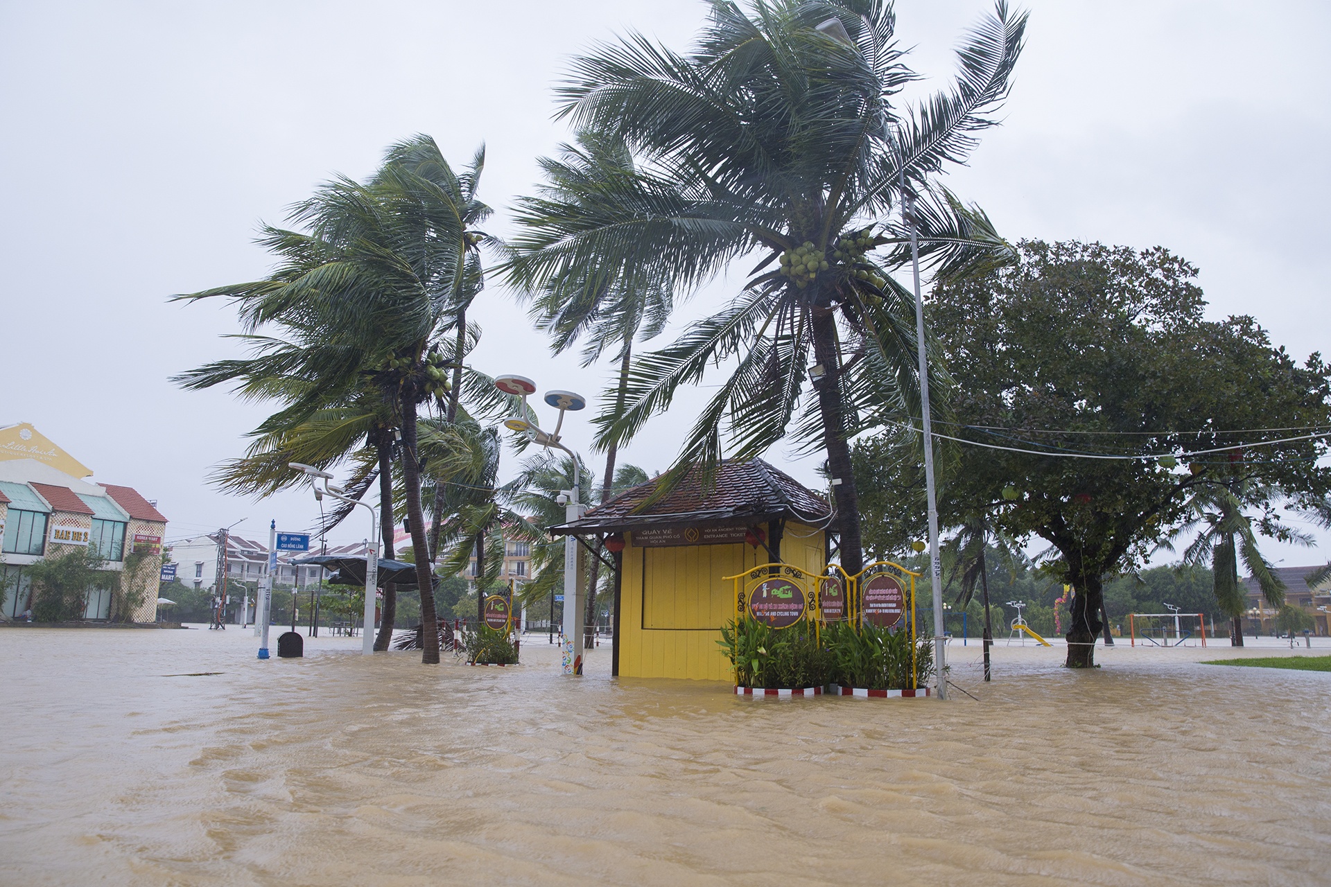 Pho co Hoi An chim trong bien nuoc anh 6