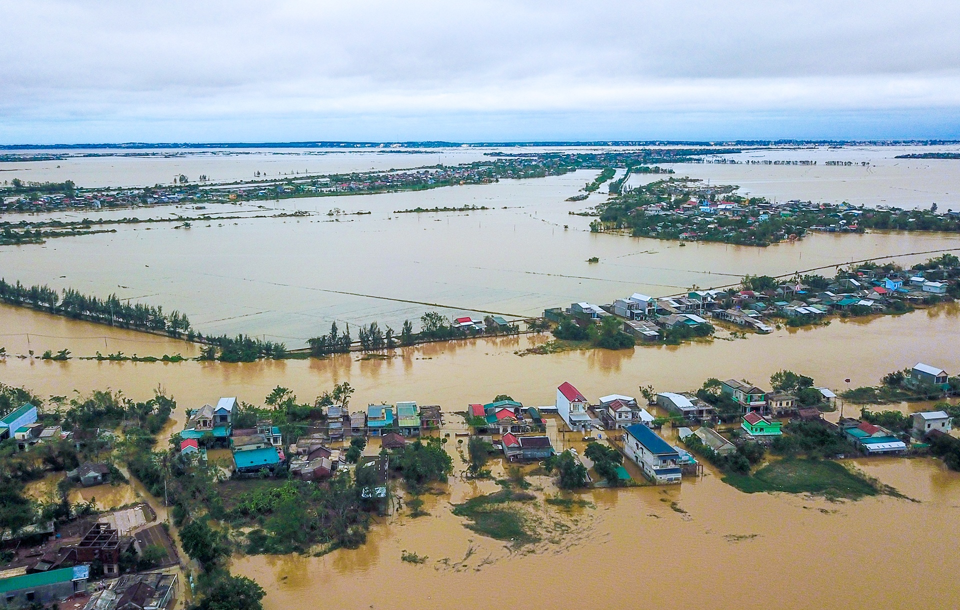 Hue chim trong nuoc lu anh 1