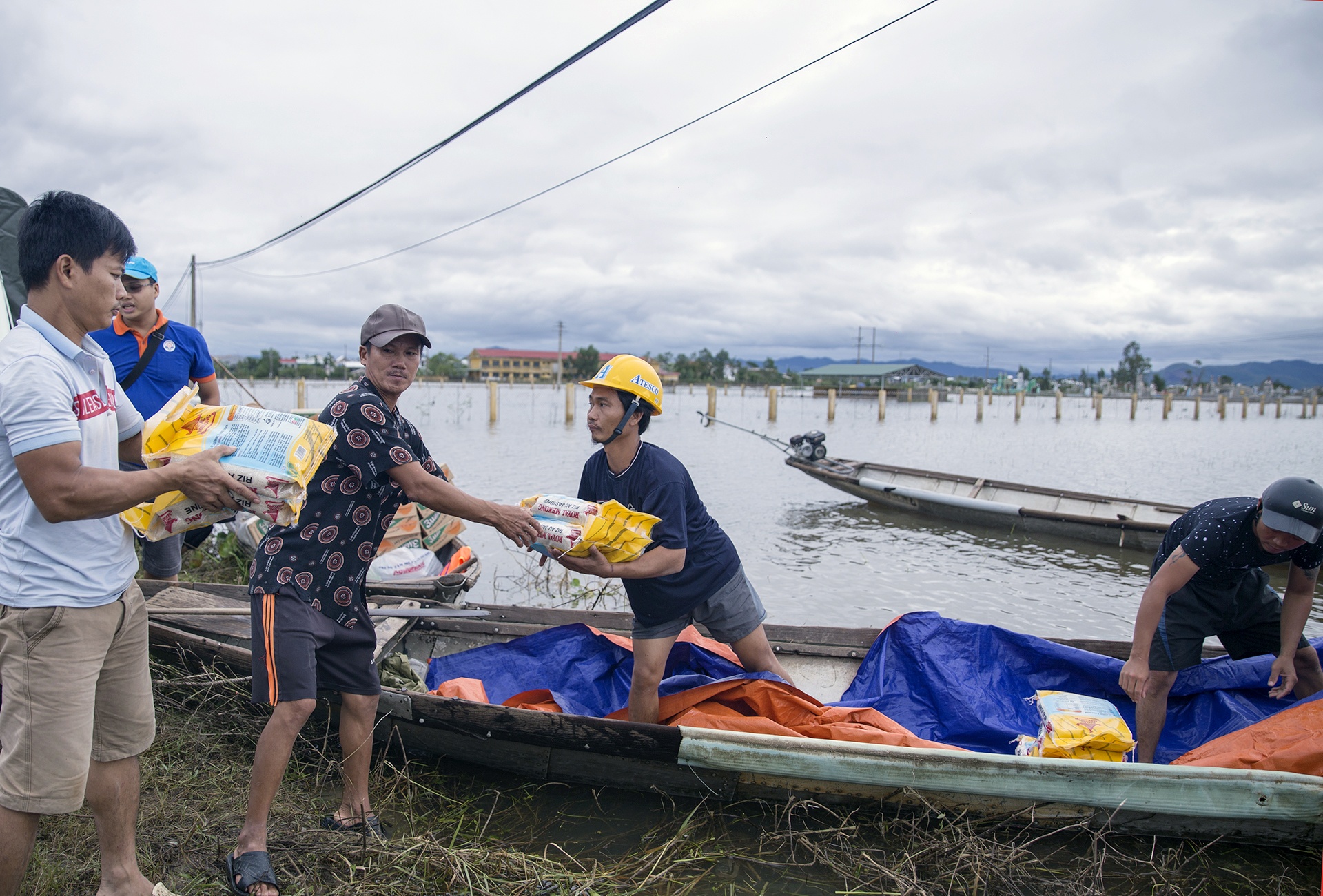 Hue chim trong nuoc lu anh 6