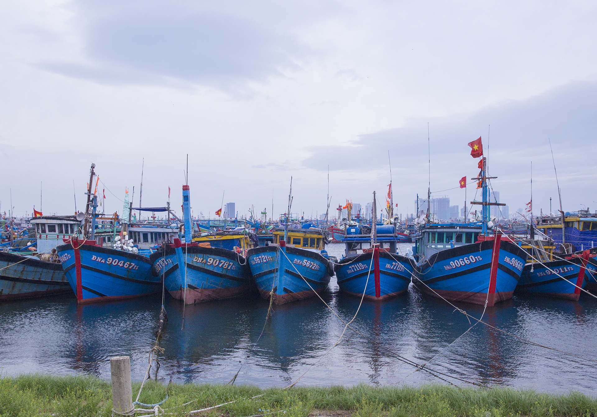 Dan Da Nang gia co nha cua tranh bao anh 8