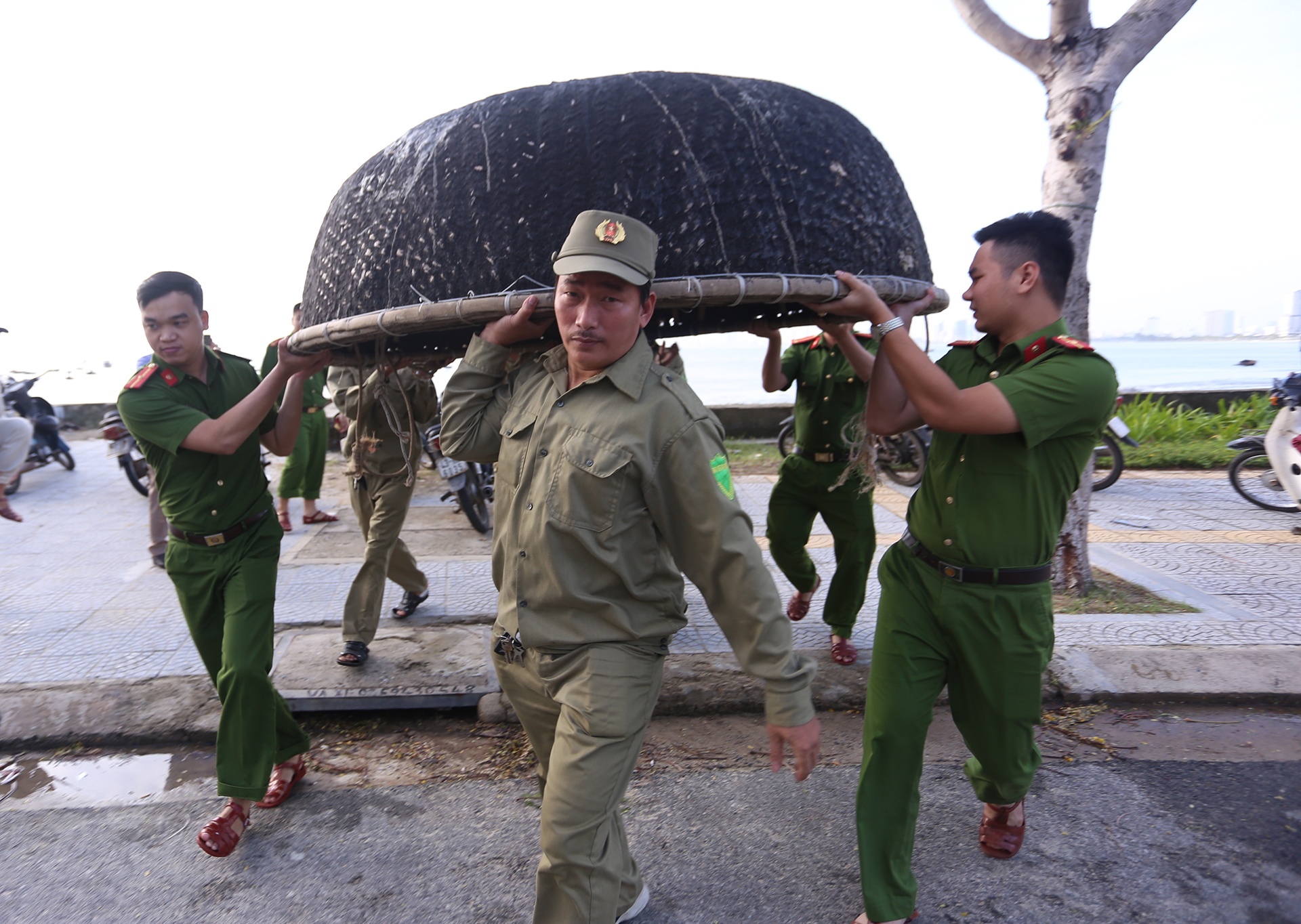 Da Nang cam tau thuyen ra khoi hinh anh