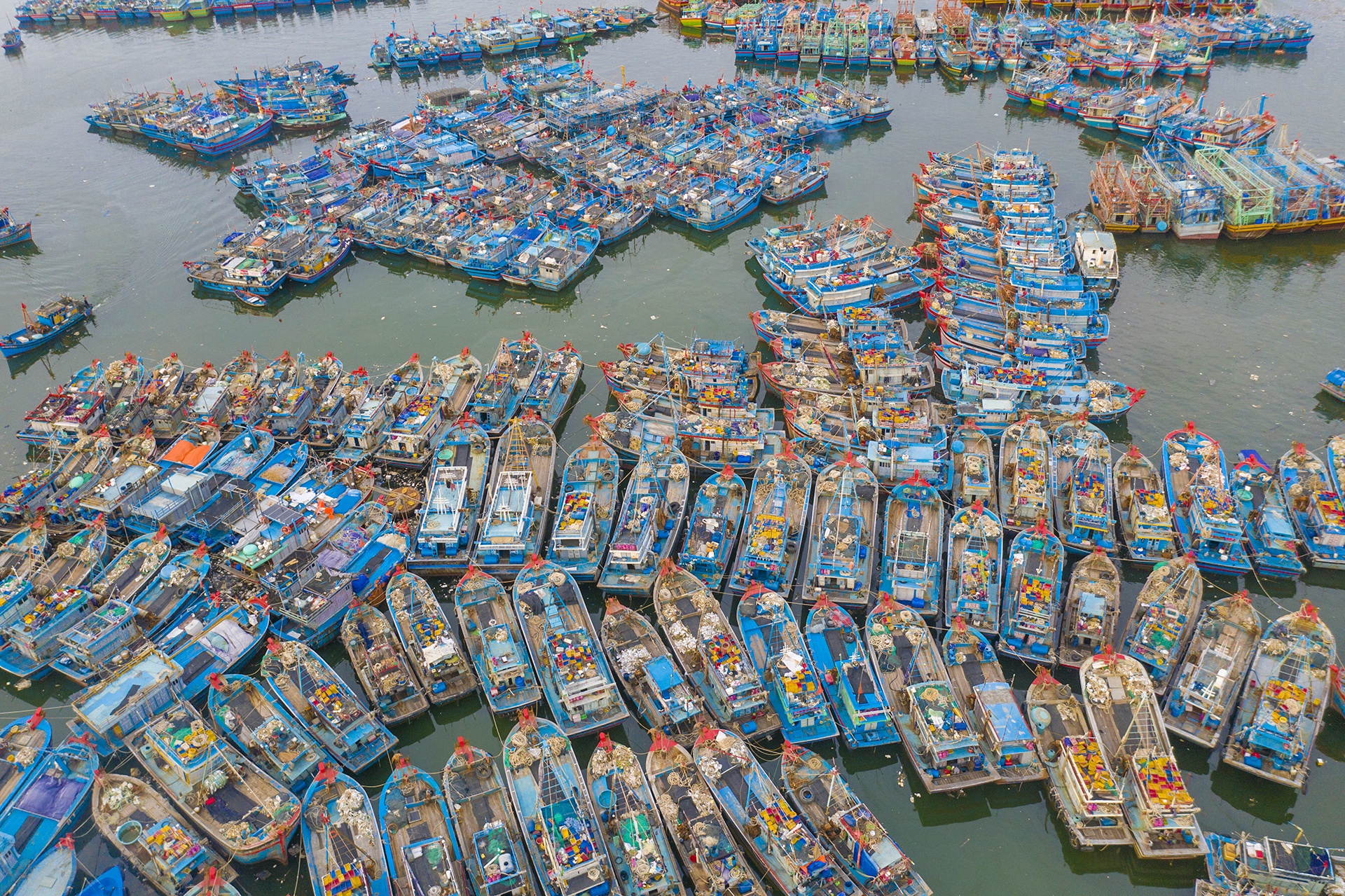 Dan Da Nang ung pho bao so 13 anh 10