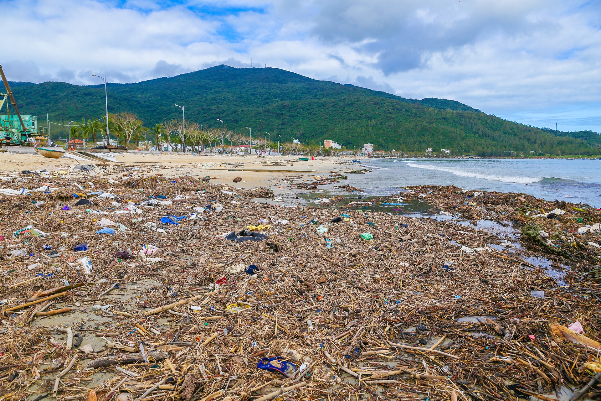 Bien Da Nang ngap rac va cui kho hinh anh
