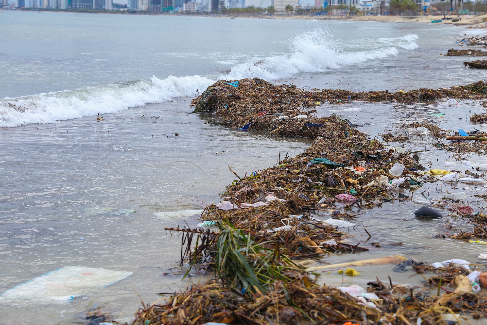 Bai bien Da Nang ngap rac anh 4