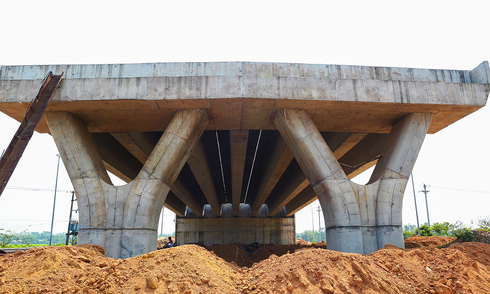 Thanh tra du an 1.500 ty o Da Nang anh 3