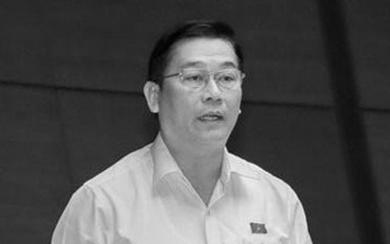 Truong ban To chuc Thanh uy Da Nang qua doi hinh anh