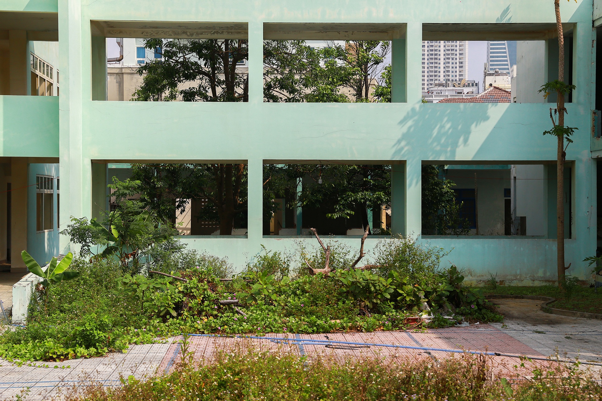 Benh vien bo hoang o Da Nang anh 11