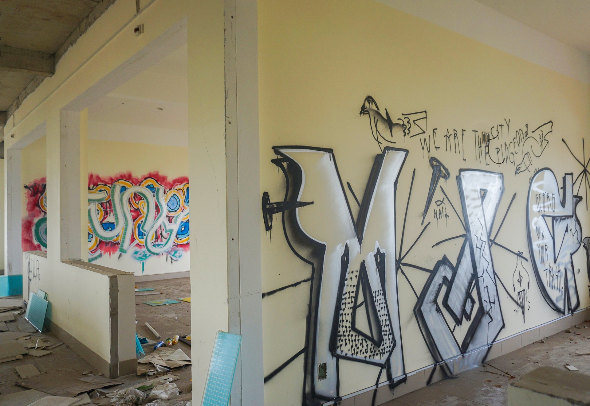 Benh vien bo hoang o Da Nang anh 3