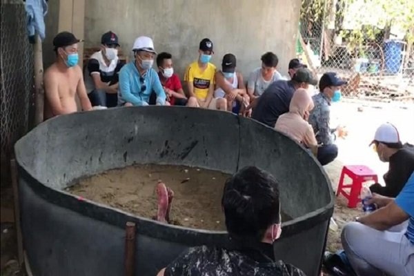 Phat 15 nguoi tu tap xem da ga anh 1