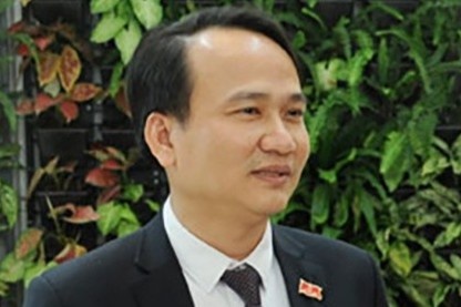 Da Nang luan chuyen, bo nhiem hang loat can bo hinh anh