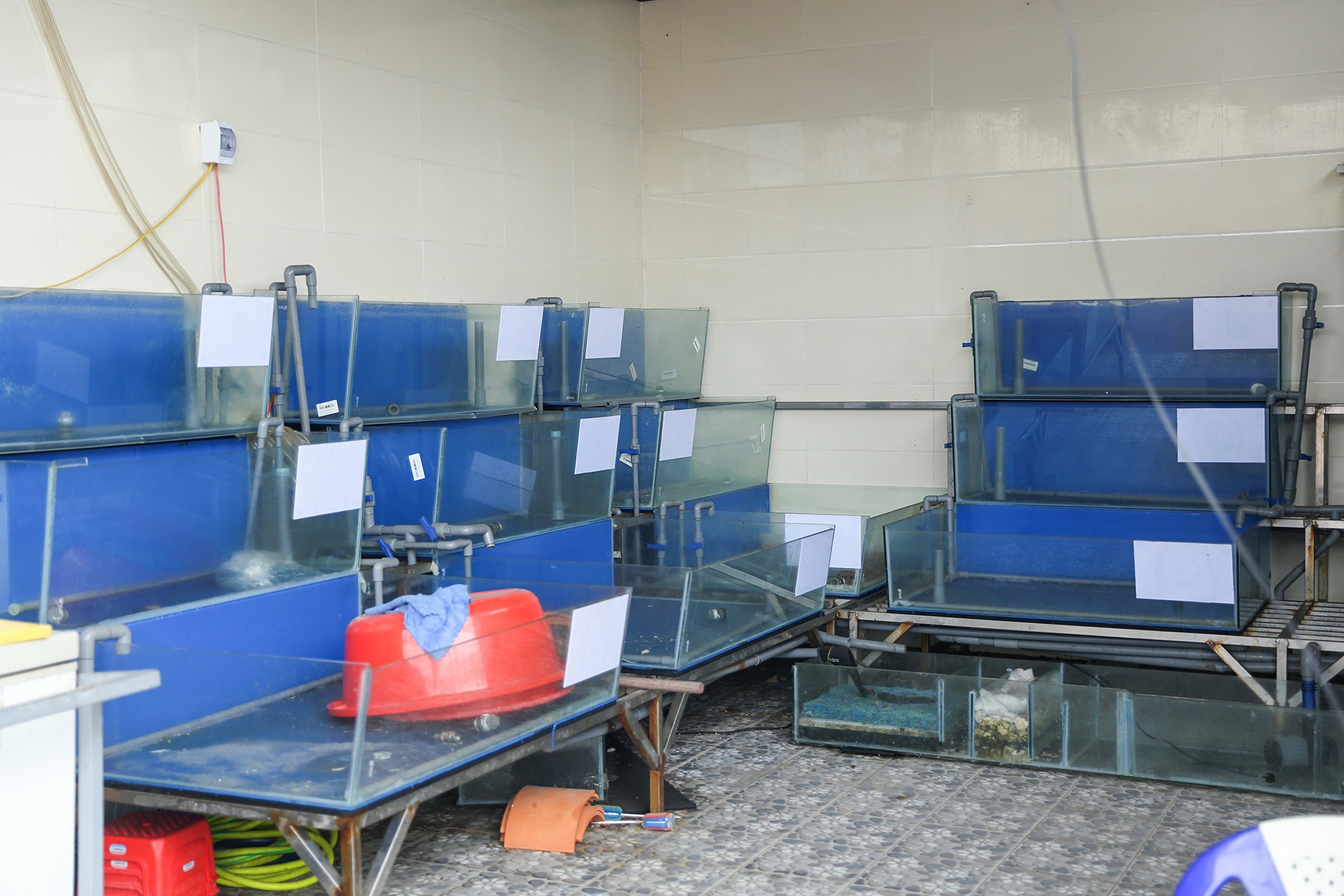 Quan xa dong cua do anh huong dich Covid-19 anh 8