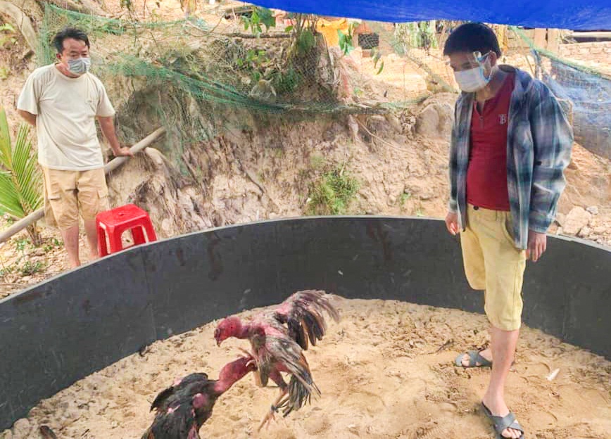 6 nguoi o Da Nang tu tap da ga anh 1