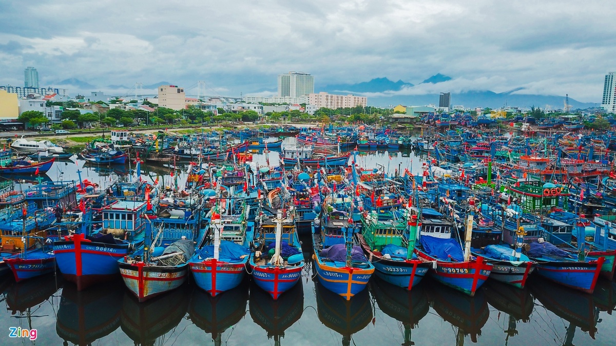 Đà Nẵng có thêm 34 ca dương tính với nCoV ảnh 2 Da Nang co them 34 ca duong tinh voi nCoV anh 2