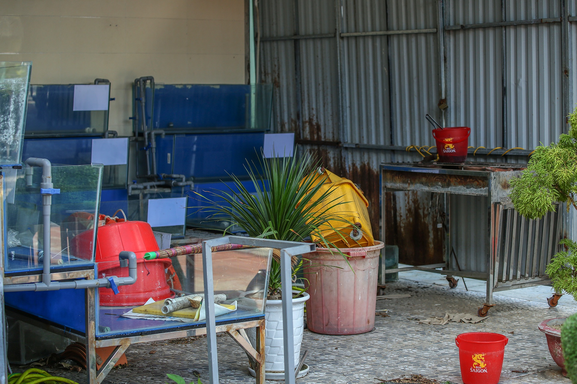 Quan nhau o Da Nang chua kinh doanh tro lai anh 11