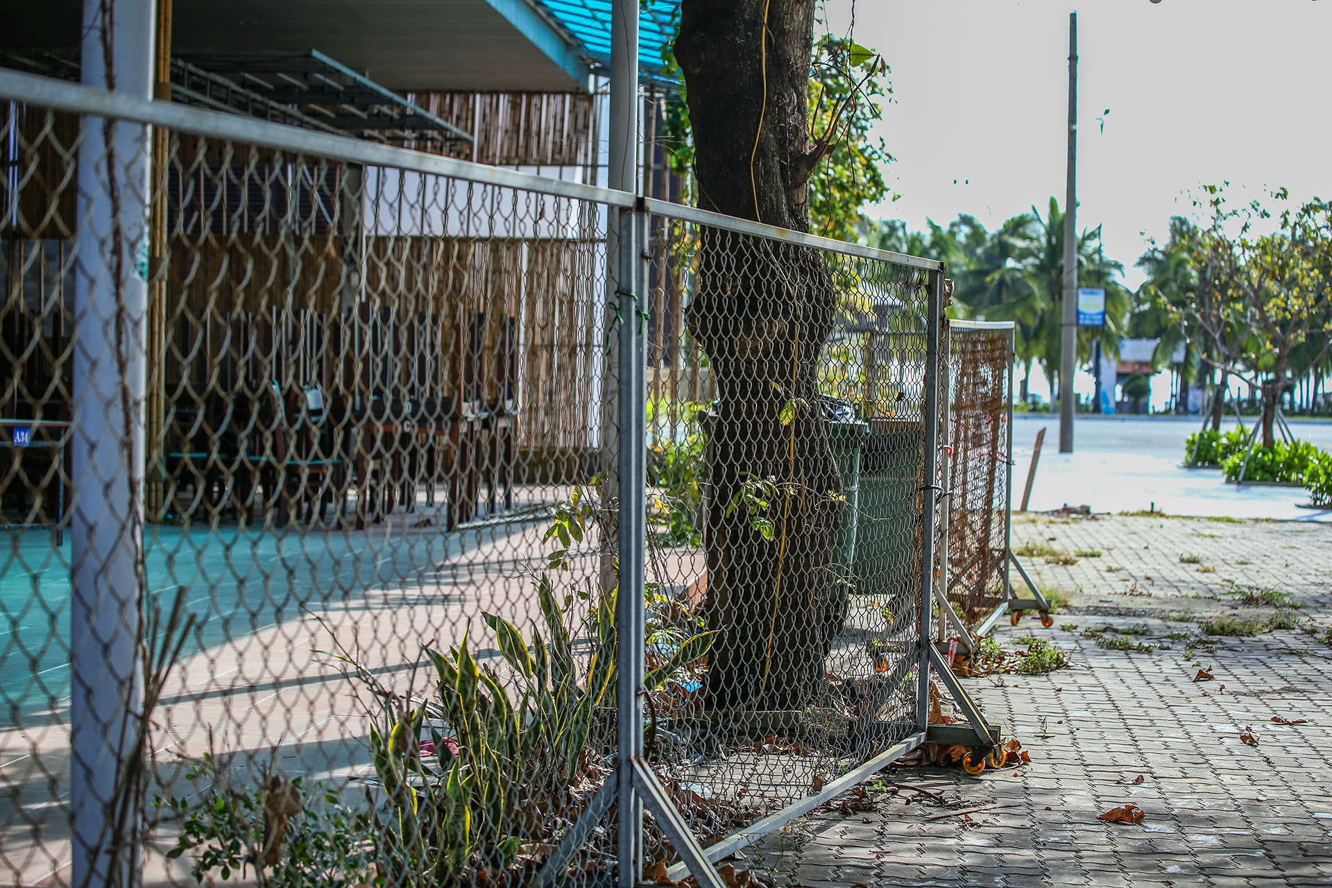 Quan nhau o Da Nang chua kinh doanh tro lai anh 3