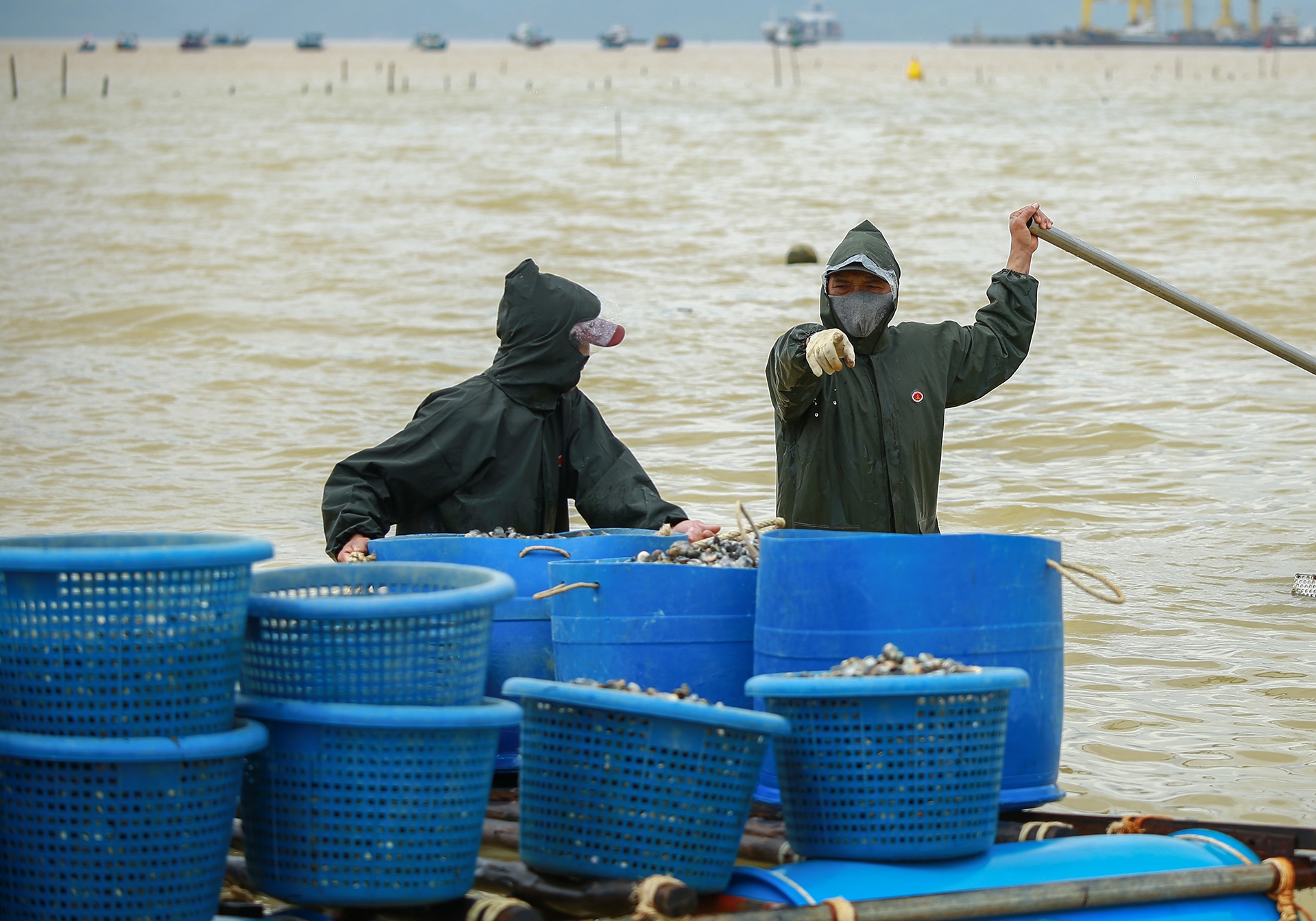 Chu long, be thuy san o Da Nang dieu dung hinh anh