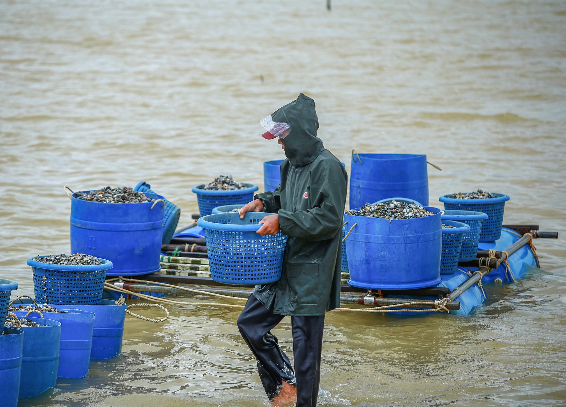 Nguoi dan thiet hai hang tram ty vi khong duoc nuoi trong thuy san anh 1